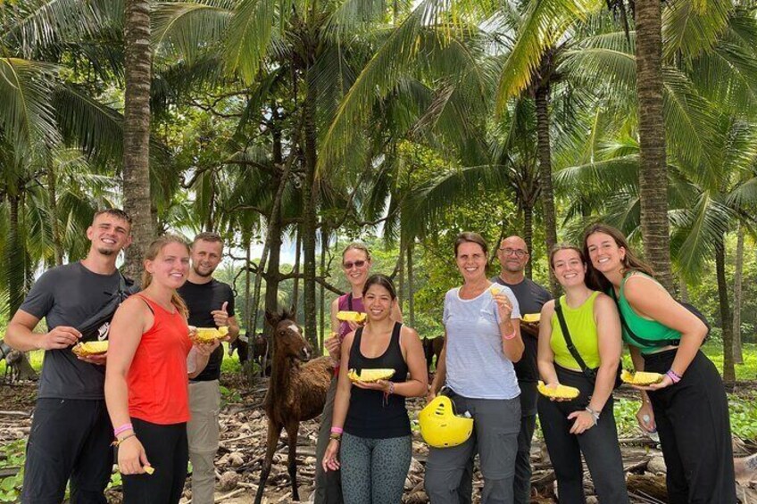 JUNGLE AND BEACH TOUR HORSEBACK RIDING - 2h 1/2