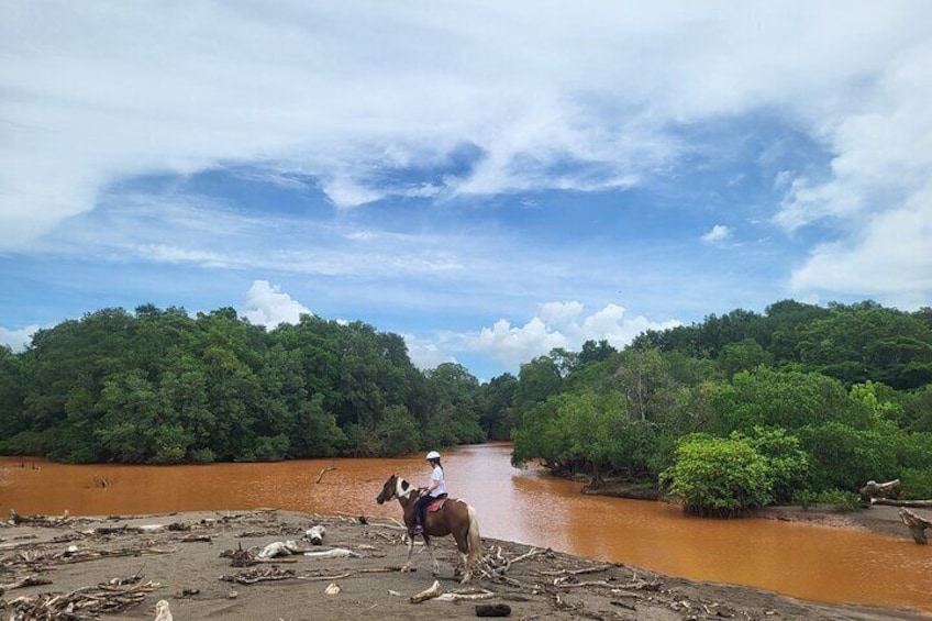 JUNGLE AND BEACH TOUR HORSEBACK RIDING - 2h 1/2