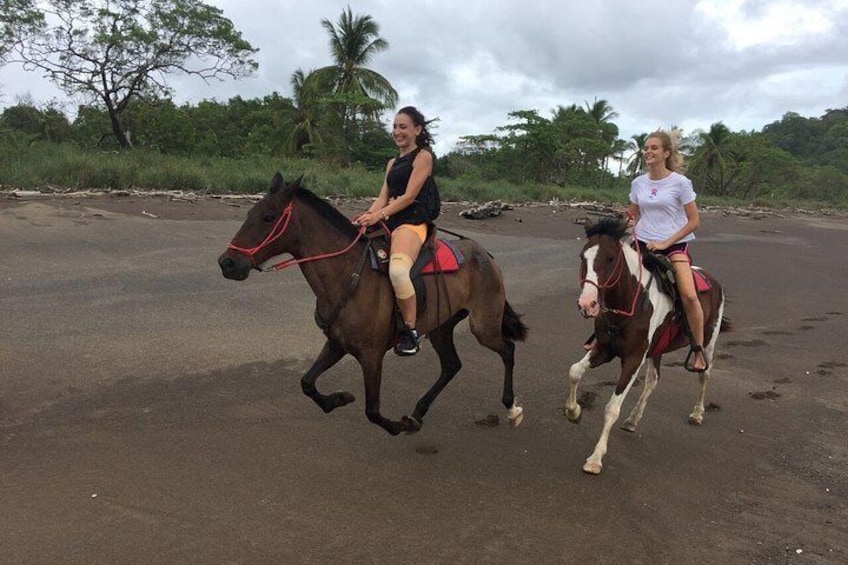 Gallop on Buenavista Beach