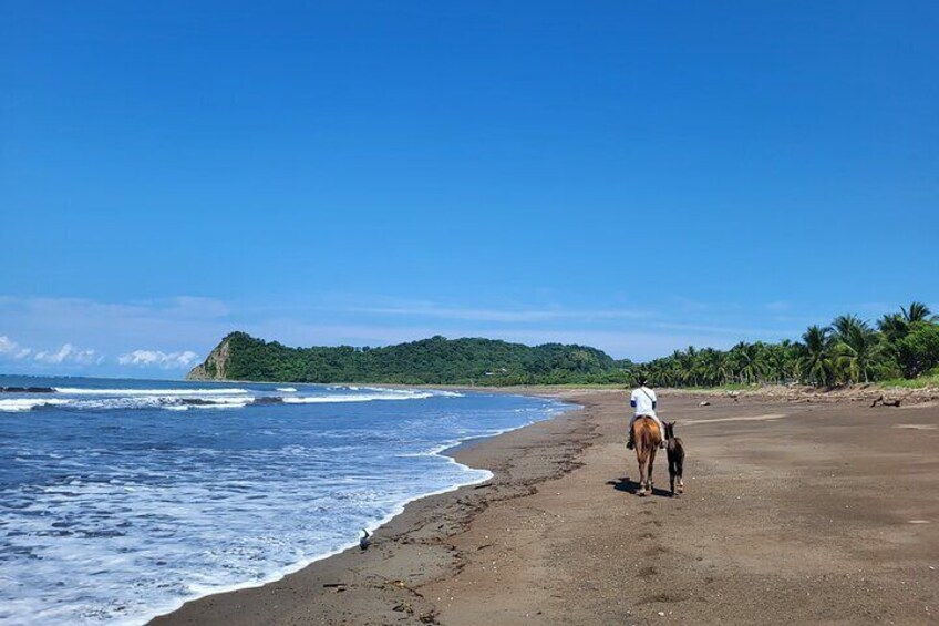 Secluded Beach