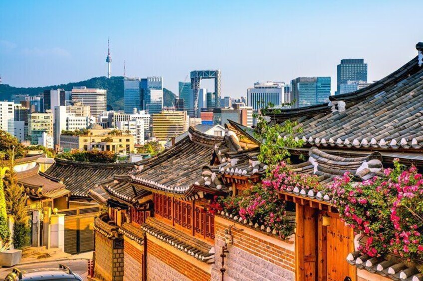 Private tour guide service in Seoul, Korea