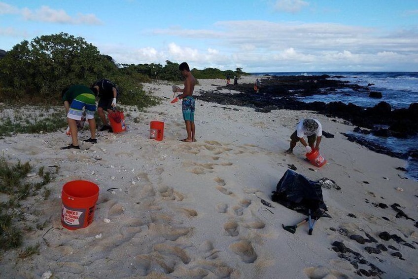 Ka'iwi Scenic Shoreline Restoration Days