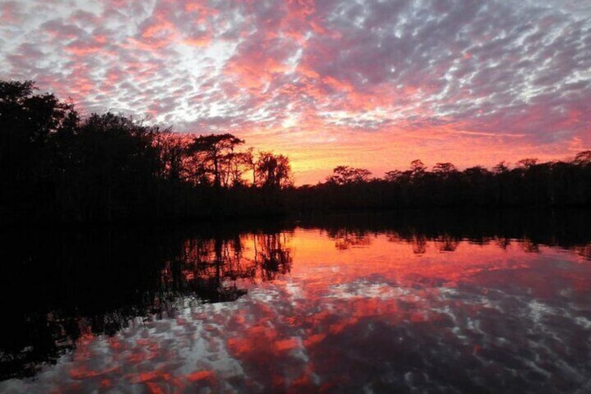 Waccamaw River Nature and Wildlife Tour