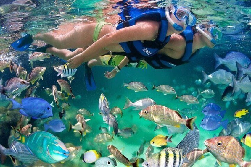 All Inclusive Isla Mujeres Tour From Cancun Or Riviera Maya Snorkel Included 