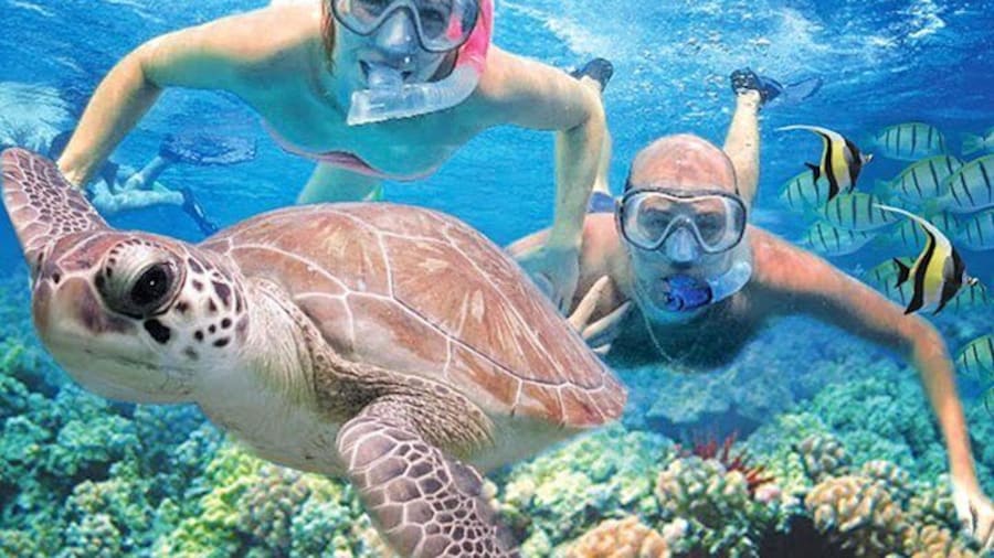 Kauai’s Ultimate Guided Shore Snorkel: South Poipu