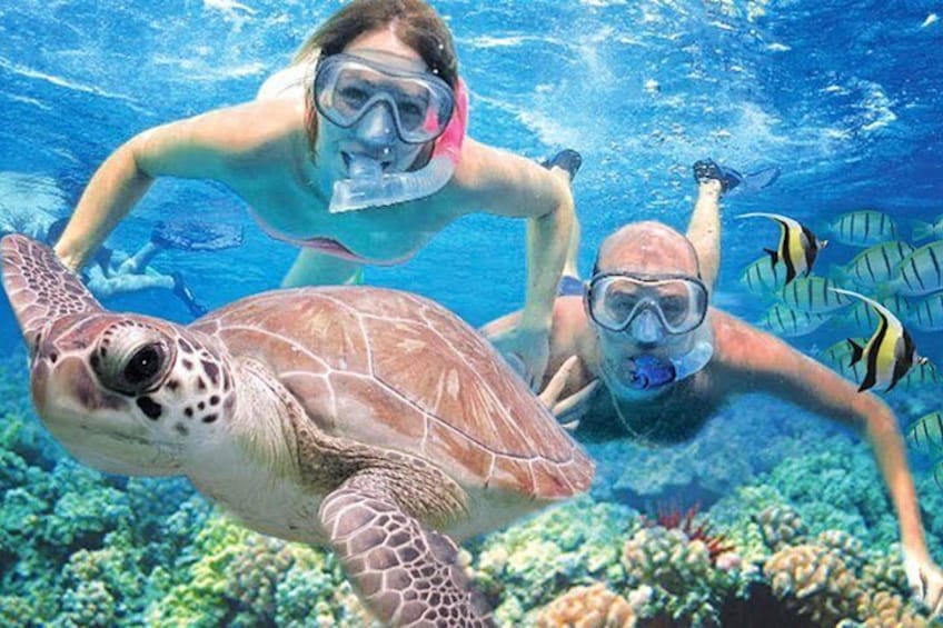 Kauai's Ultimate Guided Shore Snorkeling Adventure