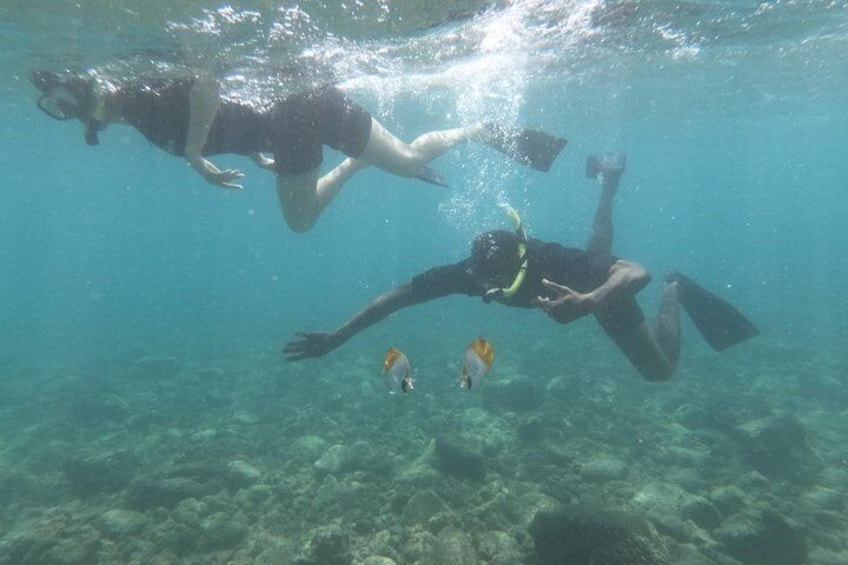 Kauai's Ultimate Guided Shore Snorkeling Adventure