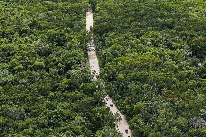 Off Road ATV Tour at the Akumal Monkey Rescued Animals Sanctuary