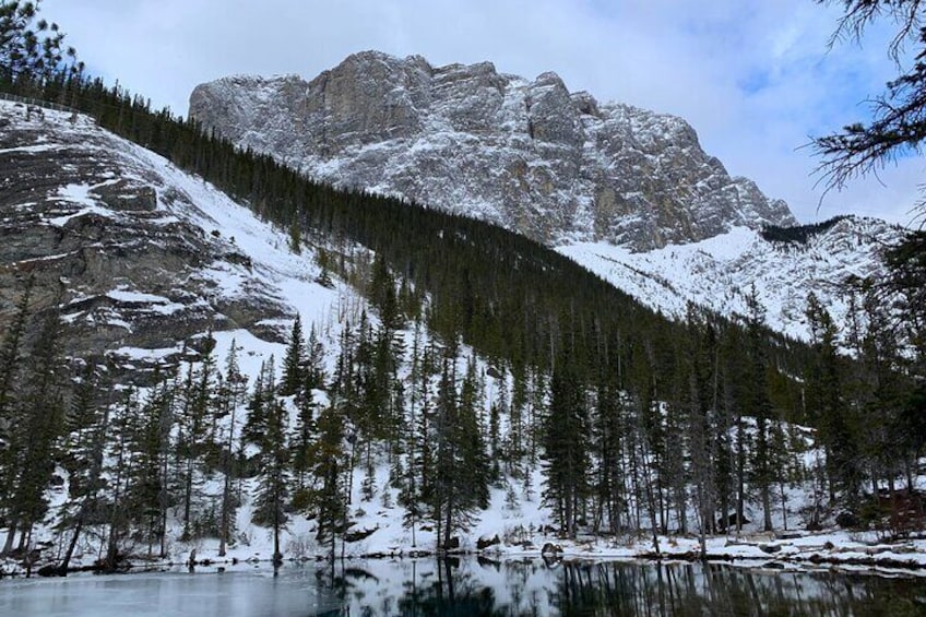 Winter Wilderness & Wildlife Tour - 2hr Walk / Ice Cleats & Poles Included