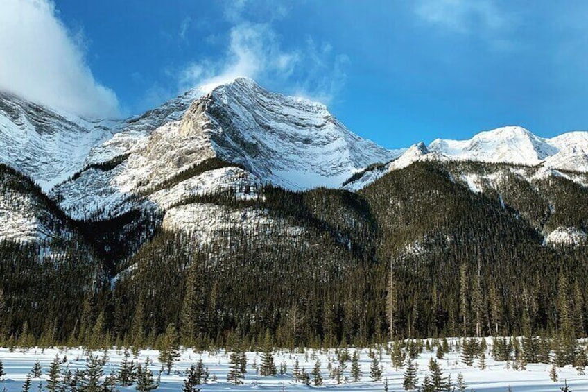 Canmore: Wilderness & Wildlife Walking Tour - 2hrs