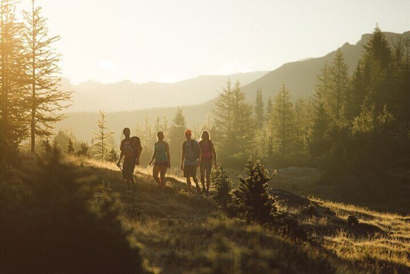 Canmore: Wilderness & Wildlife Tour - 2hr Walk + Transportation