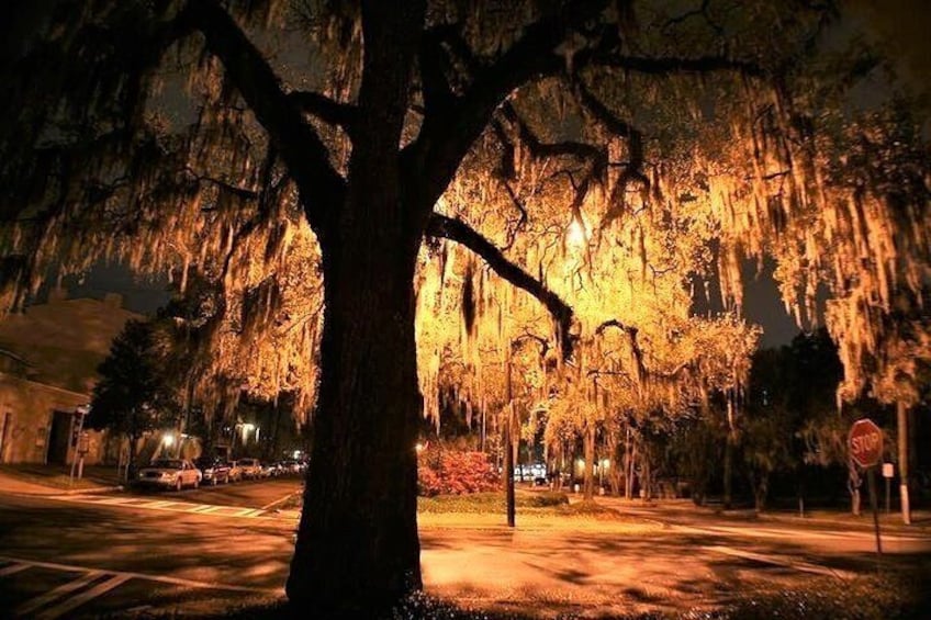 Savannah 13 Ghosts Haunted Tour