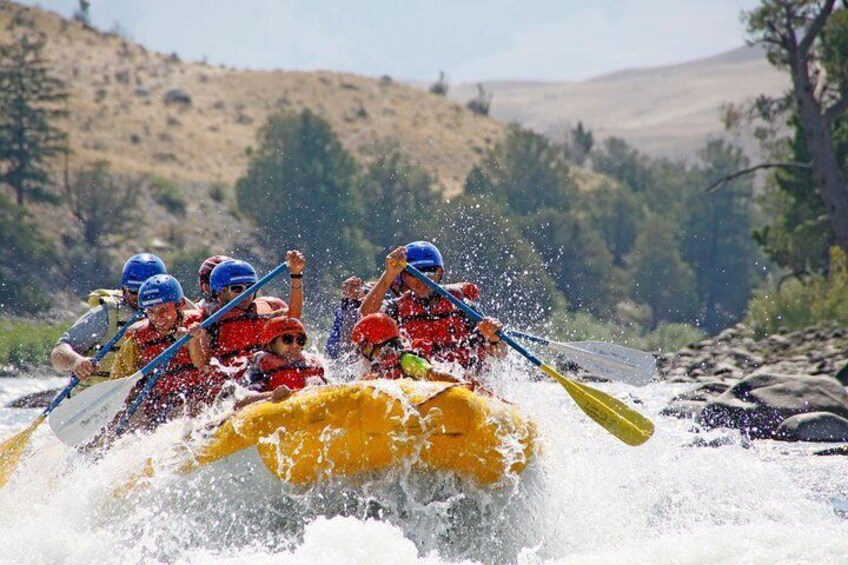 Yellowstone River Whitewater Rafting