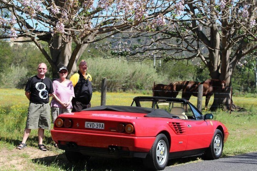 Six Bridges of Sydney “Vintage Car Ride” Experience