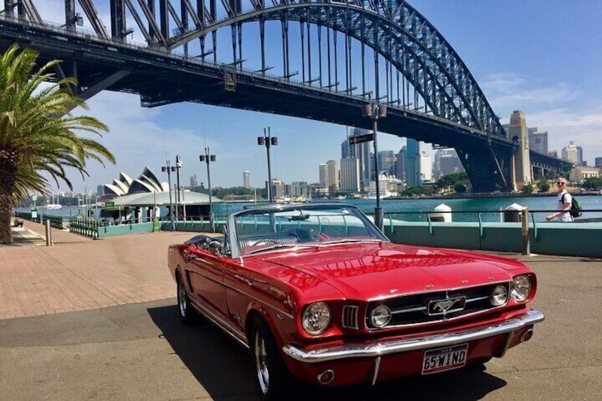 Six-Bridges-of-Sydney-Vintage-Car-Ride-Experience