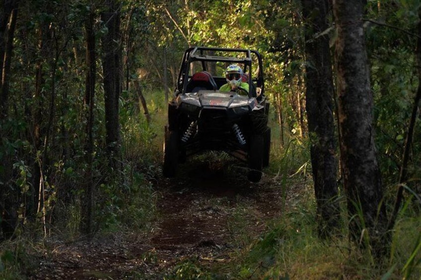 Lahaina ATV Adventure