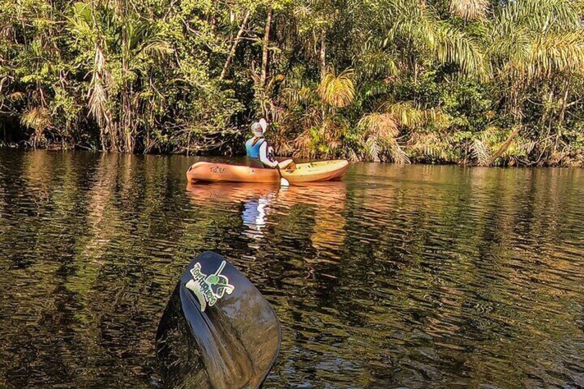 Kayak Tour