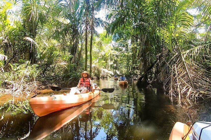 Kayak Tour