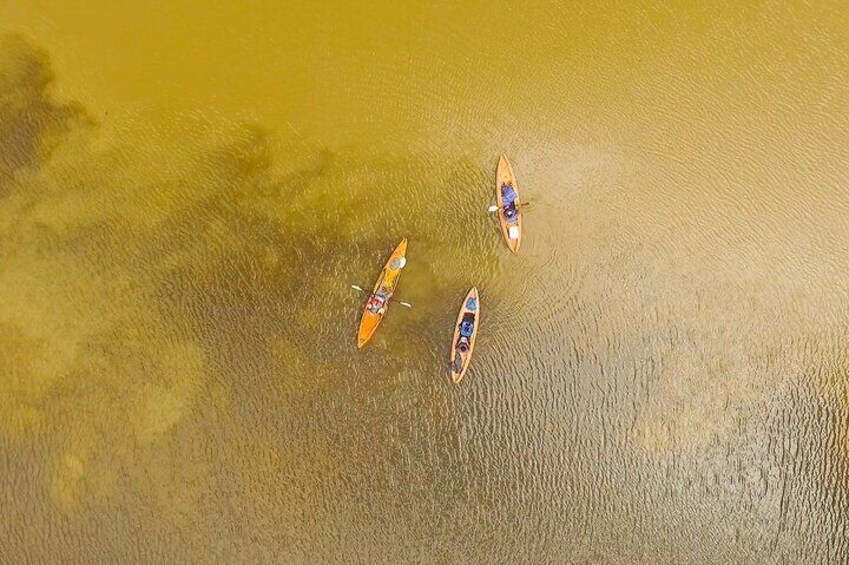 Kayak Tour