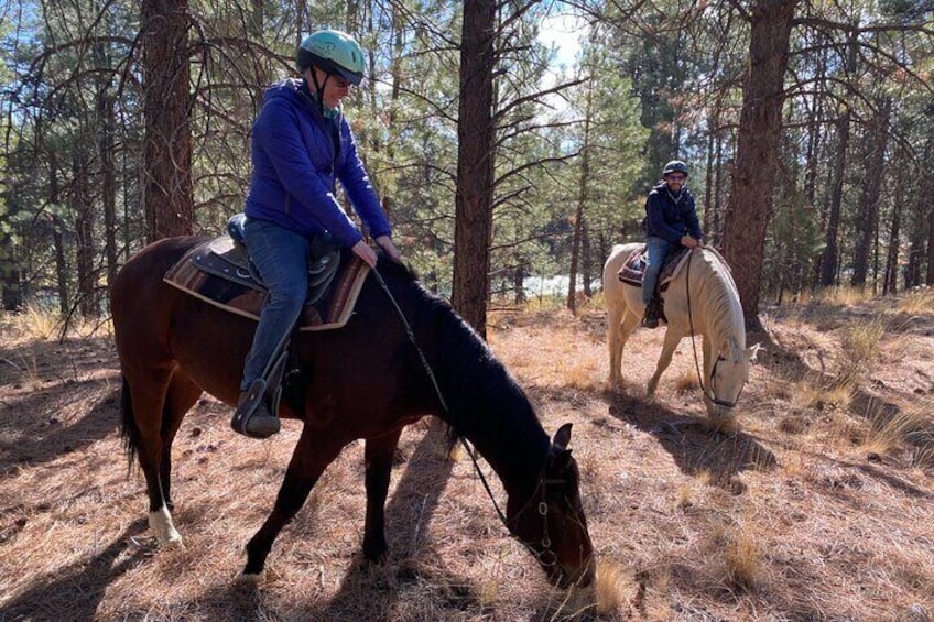 Deschutes River Horse Ride