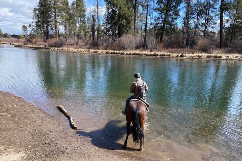 Deschutes River Horse Ride