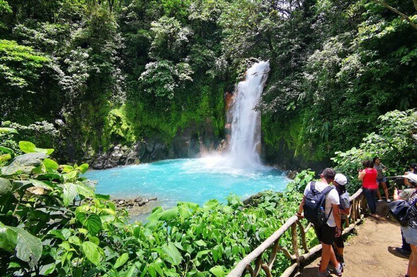 Rainforest Hiking to Rio Celeste Waterfall Private Tour