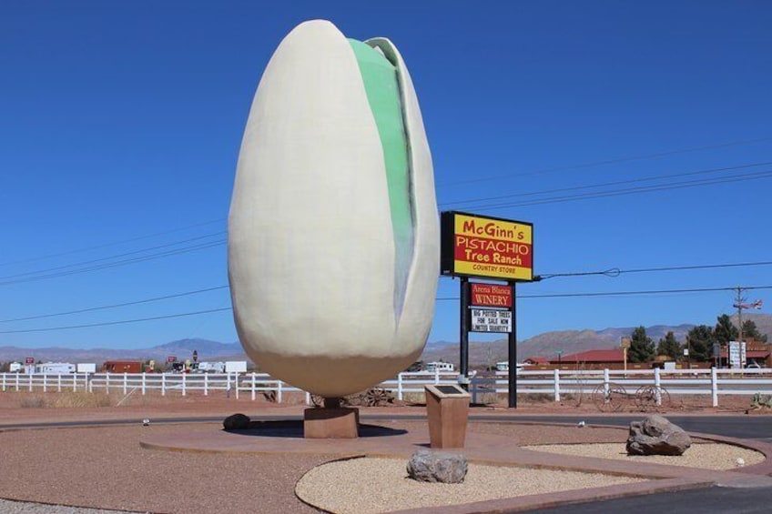 The World's Largest Pistachio.