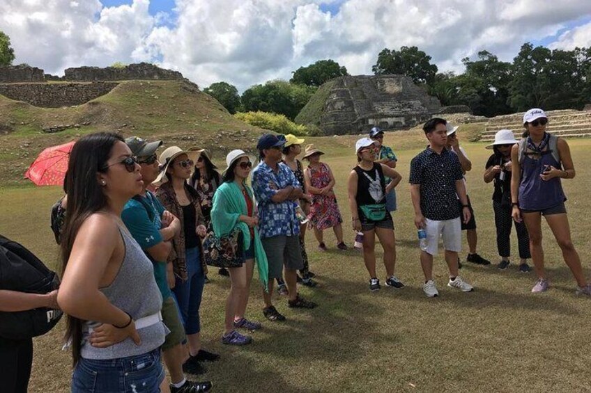 Altun Ha & Rainforest