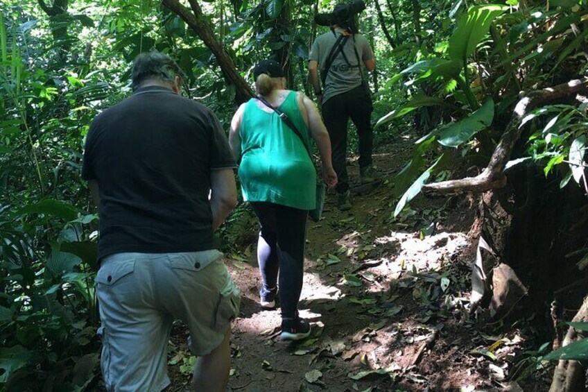 Full Day Private Tour in Costa Rica