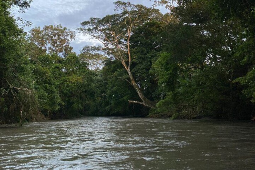 Nocturnal Nature Safari Float Tour from La Fortuna-Arenal