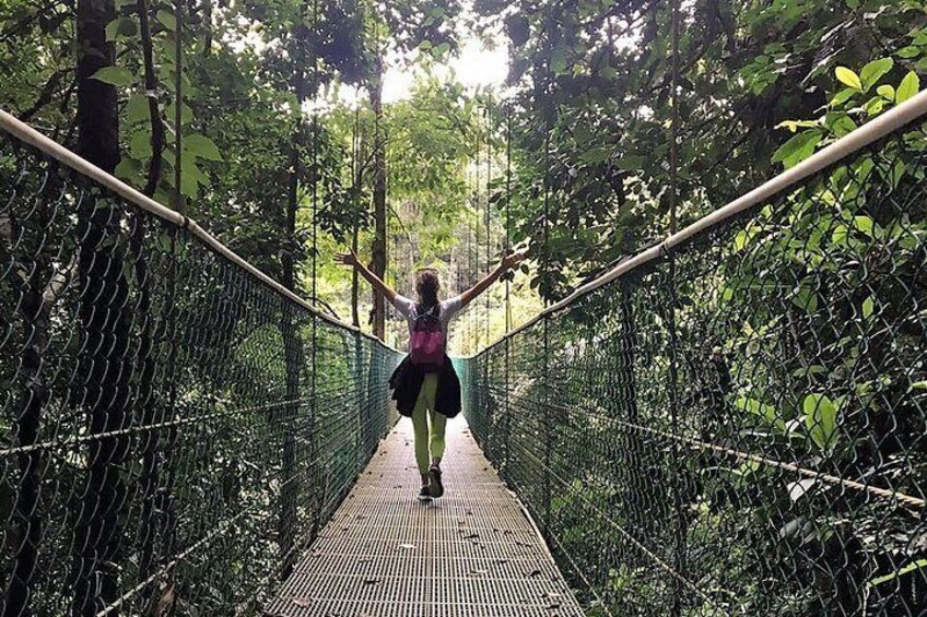 Class II-III Rafting and Hanging Bridges from La Fortuna