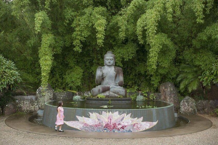 Byron Bay and Beyond Tour Including Cape Bryon Lighthouse Crystal Castle and Bangalow