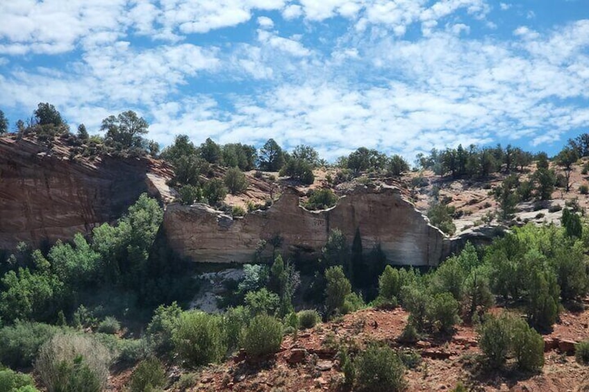 Guided tours in southern Utahs slot canyons, Indian ruins, and national parks.