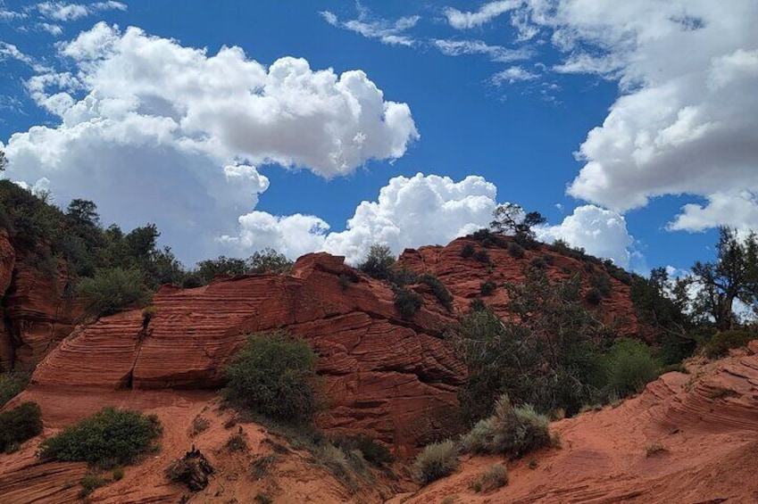 Guided tours in southern Utahs slot canyons, Indian ruins, and national parks.