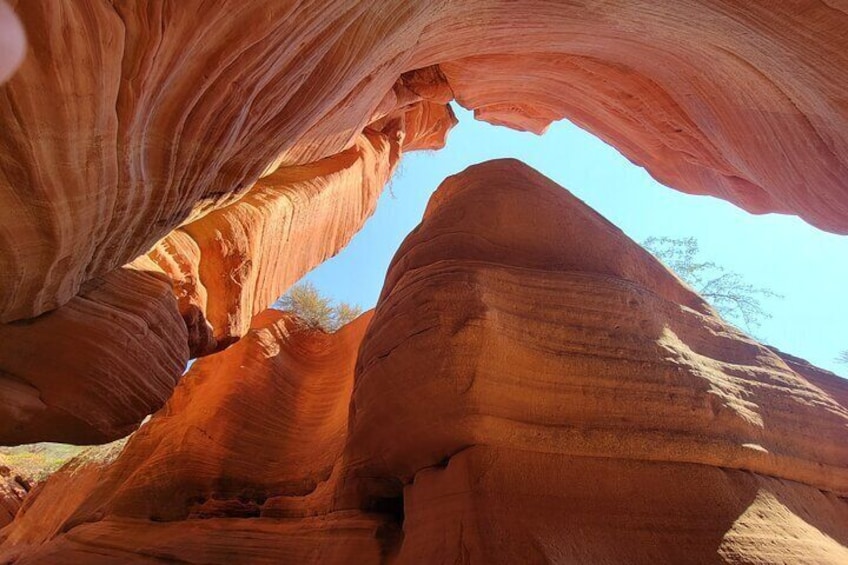 Guided tours in southern Utahs slot canyons, Indian ruins, and national parks.