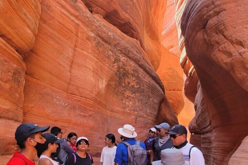 Guided tours in southern Utahs slot canyons, Indian ruins, and national parks.