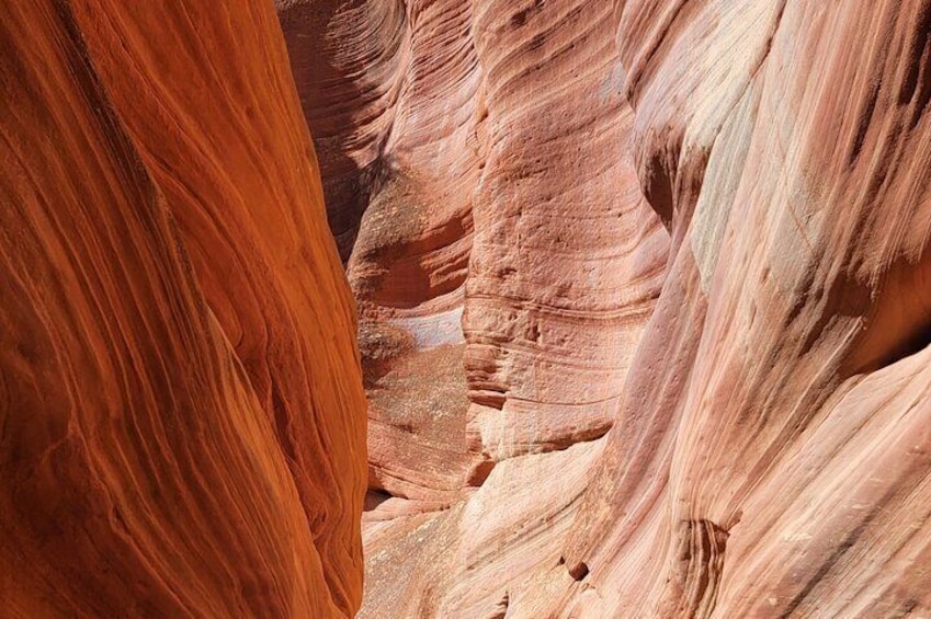 Guided tours in southern Utahs slot canyons, Indian ruins, and national parks.