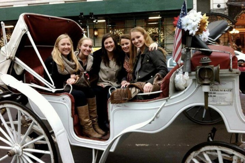 50 Minutes Central Park Horse and Carriage Tour Up to 4 Adults