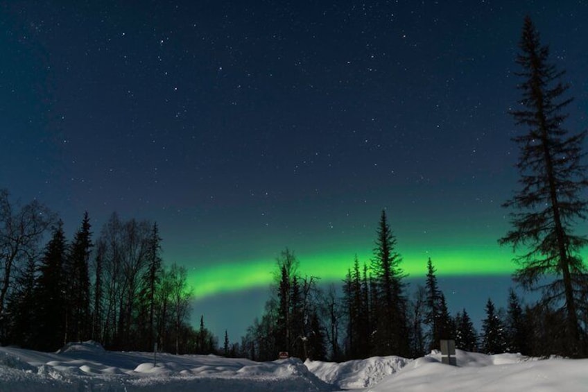 Northern Lights Tours and Lifetime Adventure from Anchorage