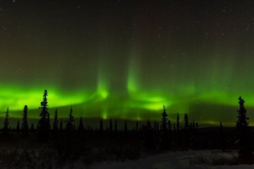 Northern Lights Tours and Lifetime Adventure from Anchorage