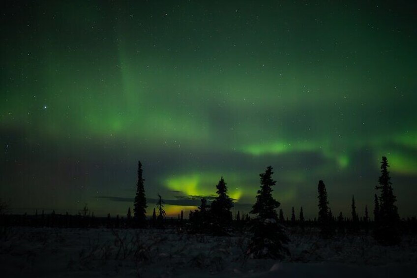 Northern Lights Tours and Lifetime Adventure from Anchorage