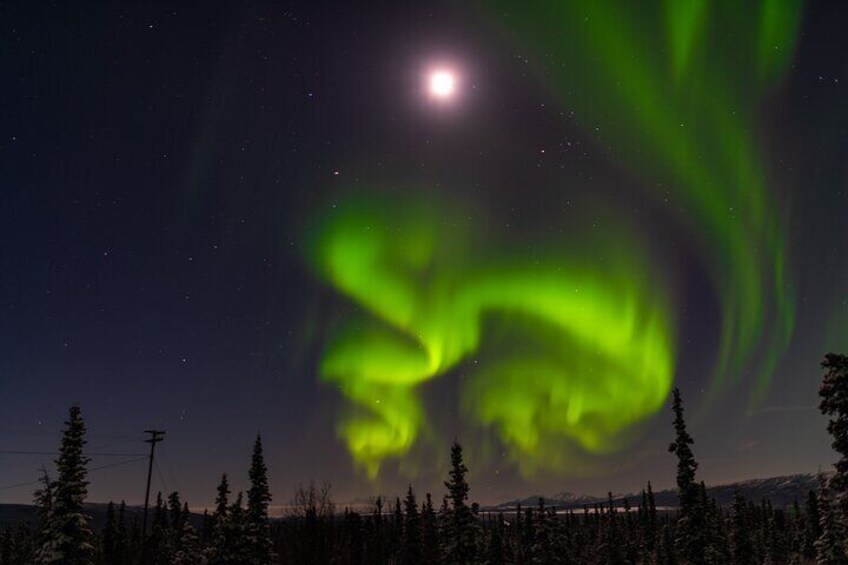 Northern Lights Tours and Lifetime Adventure from Anchorage