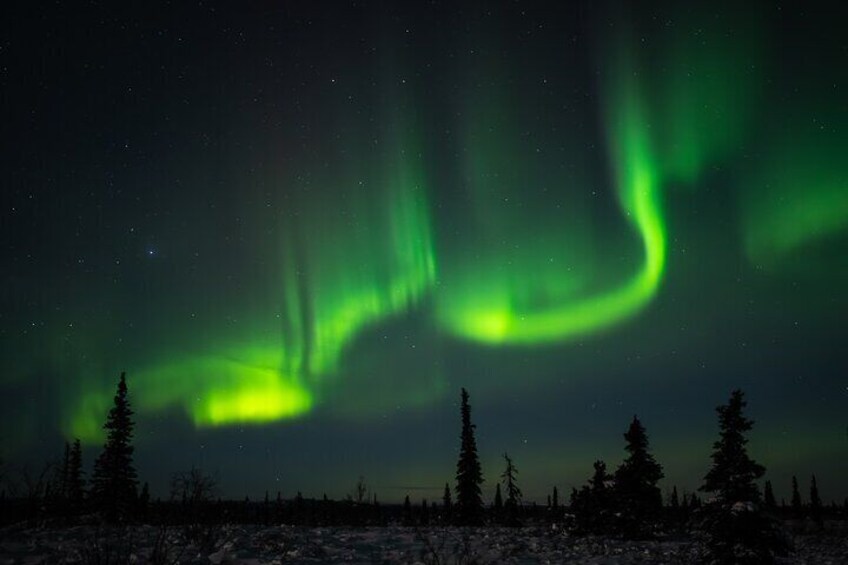 Northern Lights Tours and Lifetime Adventure from Anchorage