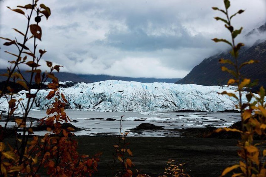 Matanuska Glacier Wildlife & Wilderness Photo Tour from Anchorage