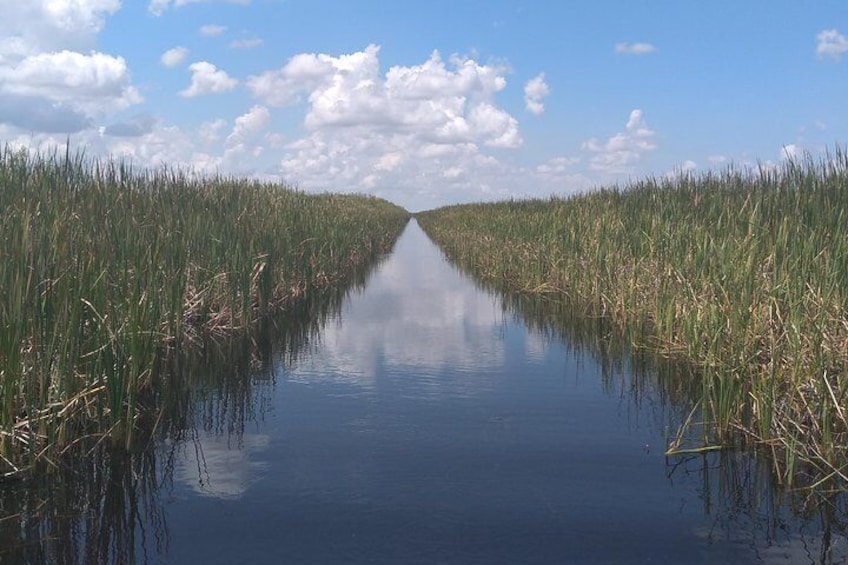 Florida Everglades 