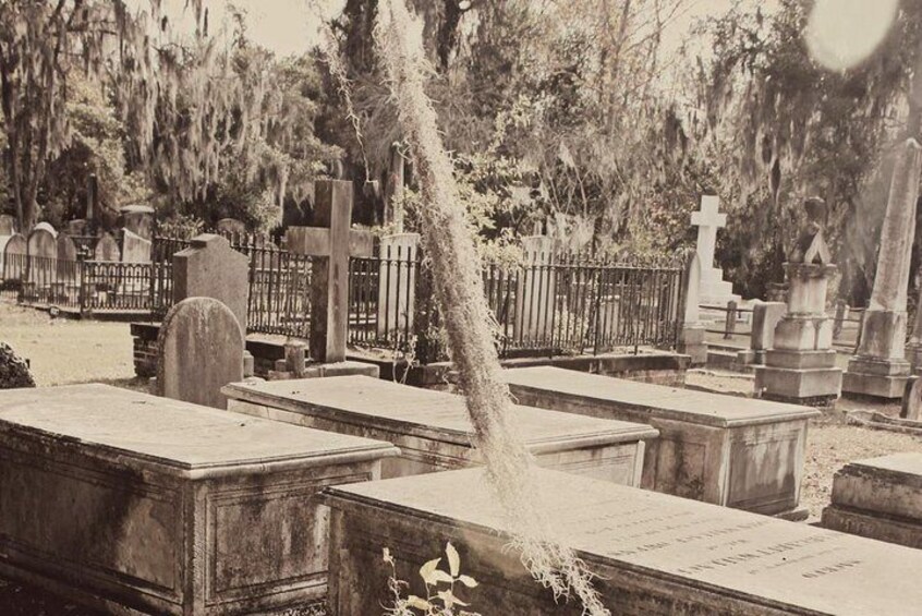 Savannah's Laurel Grove Cemetery Tour