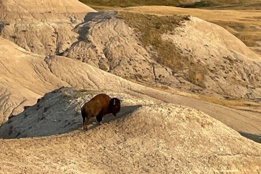 The Badlands Golden Hour