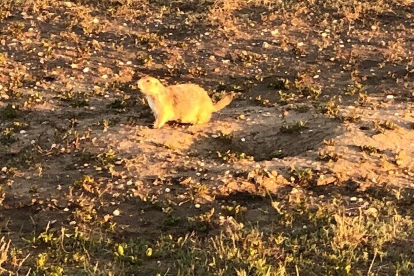 The Badlands Golden Hour 