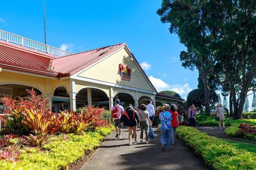 Cozy Oahu Circle Island Tour (14 Max) + Byodo-In Temple + Suprise