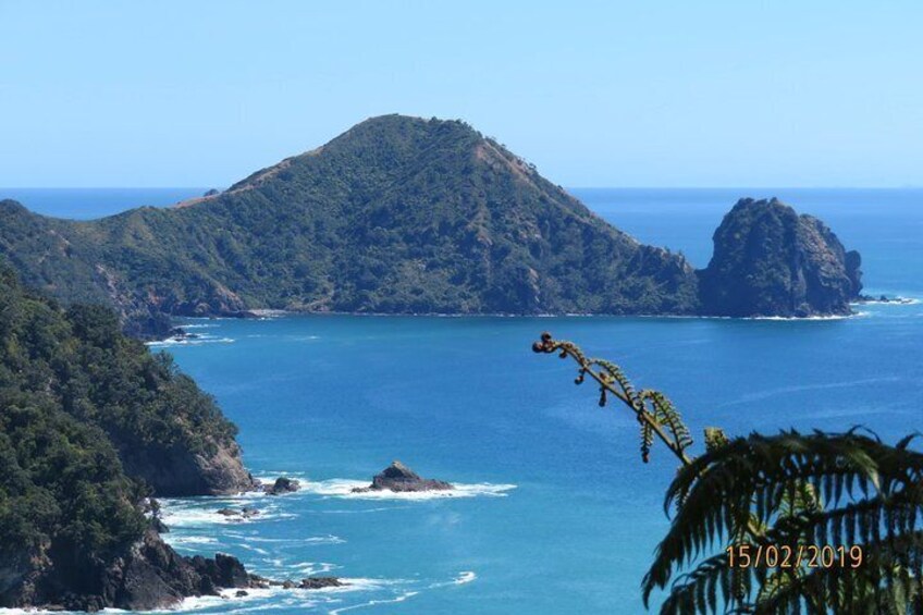 Coromandel Coastal Walkway Day Tour ex Coromandel Town